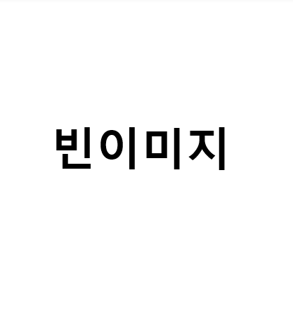 그래픽T